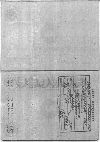 Паспорт_СМ_2