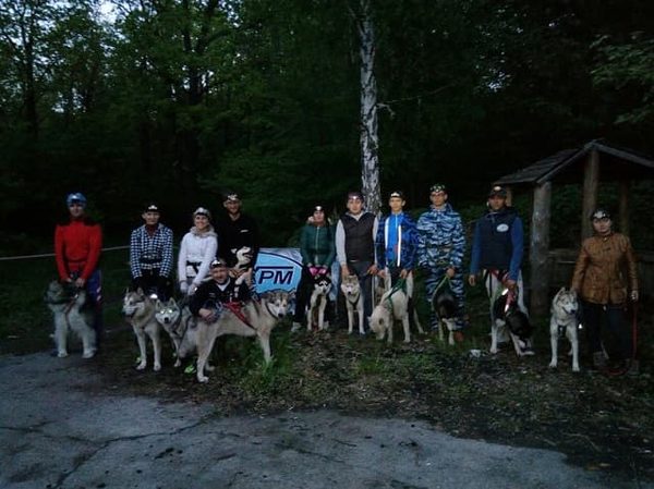 дог-трекинг